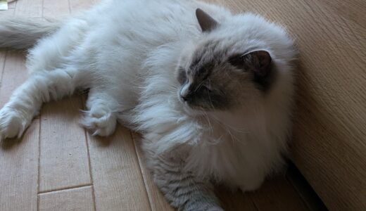 昔、チェーンメールって流行ってたという話