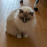 憂鬱な気分の晴らし方って人それぞれな話