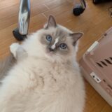親しい人が去る時の話