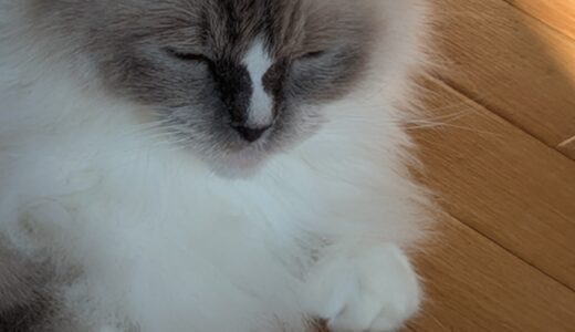 期日前投票でも結局市役所とかに行かないといけないから面倒という話