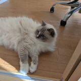 大雨で通勤するとホント辛いよ・・・って話