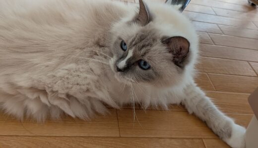 AIの使い方って難しい話