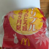 2025年9月13日の日記とニュース(マックの新作めっちゃ美味しかった)