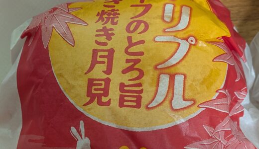2025年9月13日の日記とニュース(マックの新作めっちゃ美味しかった)