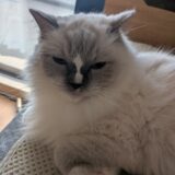 2025年10月30日の日記とニュース(車検が今週末あるから憂鬱)