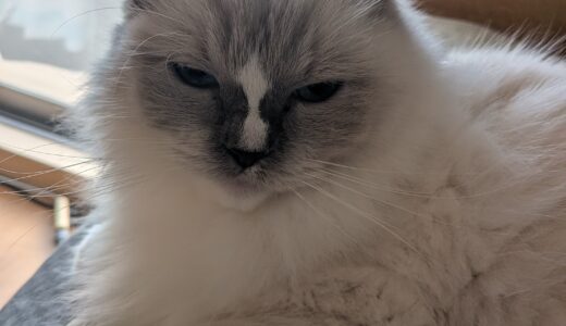 2025年10月30日の日記とニュース(車検が今週末あるから憂鬱)