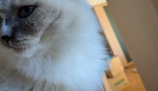 2025年11月08日の日記とニュース(いつ暖房つけようか迷う)