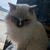 2025年11月05日の日記とニュース(いい加減携帯をe-simに変えないといけない)