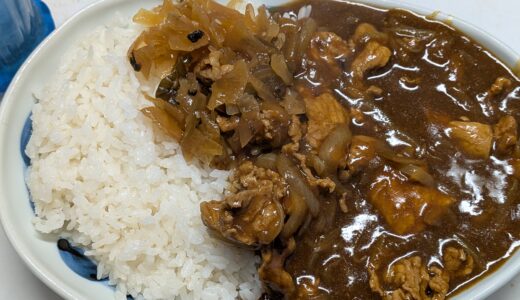 2025年11月09日の日記とニュース(OD調査って2日間分いるんだな)