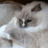 2025年11月27日の日記とニュース(久しぶりに残業たっぷり)