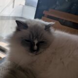 2025年12月04日の日記とニュース(一気に寒くなって雪が心配)