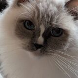 2025年12月22日の日記とニュース(この一週間は食材消費フェーズ)