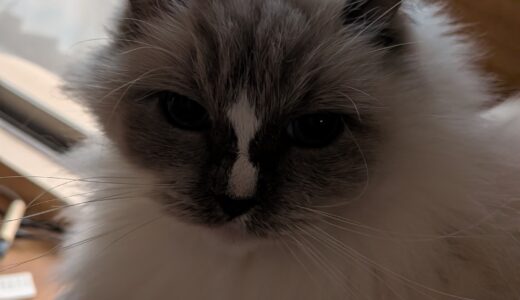 2025年12月27日の日記とニュース(一気に寒くなって真冬の気温になってしまった)