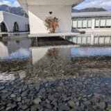 2025年12月31日の日記とニュース(久しぶりのアクアイグニス最高だった)