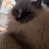 2026年01月09日の日記とニュース(三連休寒くなるけど、ピークは月曜でセーフかな？)