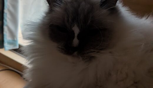 2026年01月13日の日記とニュース(今年初は、後焼肉と焼鳥かな)