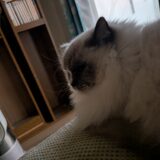 2026年01月14日の日記とニュース(実家から貰ってきた餅がもうすぐ無くなる)