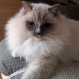 2026年01月16日の日記とニュース(体調管理気をつけないとねー)