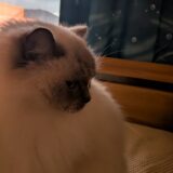 2026年01月22日の日記とニュース(路面凍結怖いな、明日の朝どうなるだろう)