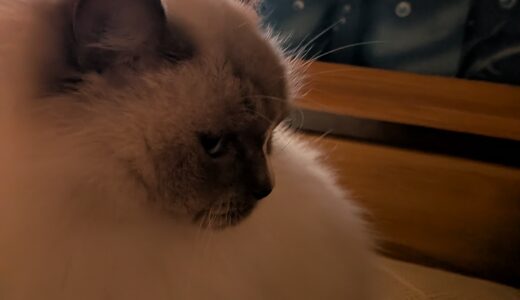 2026年01月22日の日記とニュース(路面凍結怖いな、明日の朝どうなるだろう)