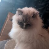 2026年01月24日の日記とニュース(ダイエット始めて週末一万歩歩いた)