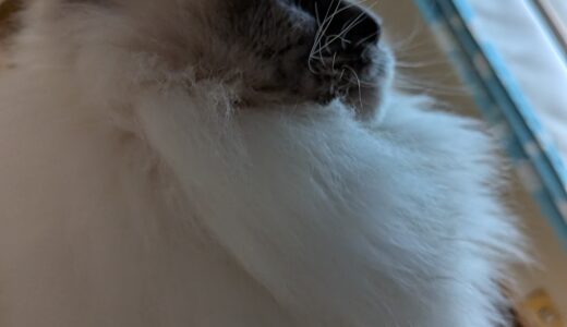 2026年02月23日の日記とニュース(やっぱ映画は楽しい)