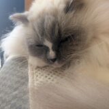 2026年03月05日の日記とニュース(ちょっと体重減ってきた)