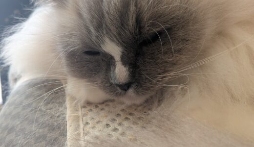 2026年03月05日の日記とニュース(ちょっと体重減ってきた)