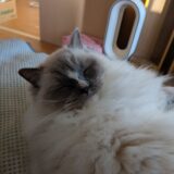 2026年03月16日の日記とニュース(週末は友達とイタリアンかな)