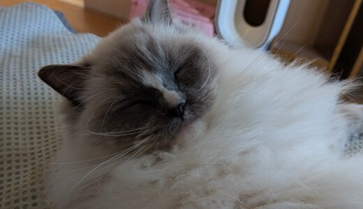 2026年03月16日の日記とニュース(週末は友達とイタリアンかな)