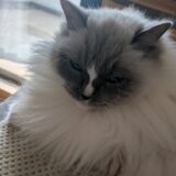 2026年03月19日の日記とニュース(春に向けて髪の毛切った)