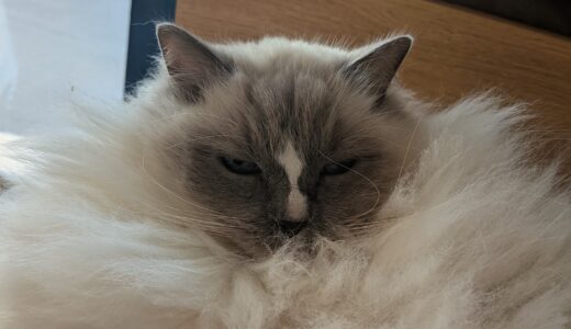 2026年03月24日の日記とニュース(吉野家久しぶりに行った)