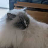 2026年03月25日の日記とニュース(スパイダーマン2もうすぐトロコン)