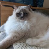 2026年03月26日の日記とニュース(明日飲み会、明後日名古屋でイベント)