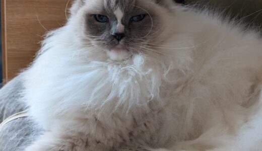 2026年03月26日の日記とニュース(明日飲み会、明後日名古屋でイベント)