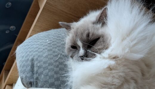 2026年03月31日の日記とニュース(再来週に旅行行けるかなあ)