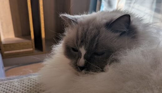 2026年04月02日の日記とニュース(雨が降ったらまた寒くなった)