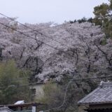 2026年04月06日の日記とニュース(土曜日曜と旅行！楽しもっと)