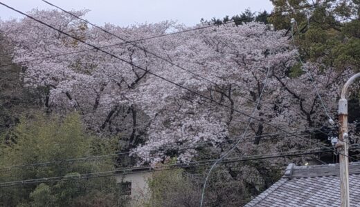 2026年04月06日の日記とニュース(土曜日曜と旅行！楽しもっと)