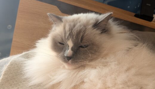 2026年04月09日の日記とニュース(明日は旅行前日。夜ご飯どうしようとかどうやって行こうか悩む)