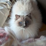 2026年04月16日の日記とニュース(そろそろ夏服揃えたい)