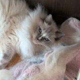 2026年06月23日の日記とニュース(台風やばそう？)